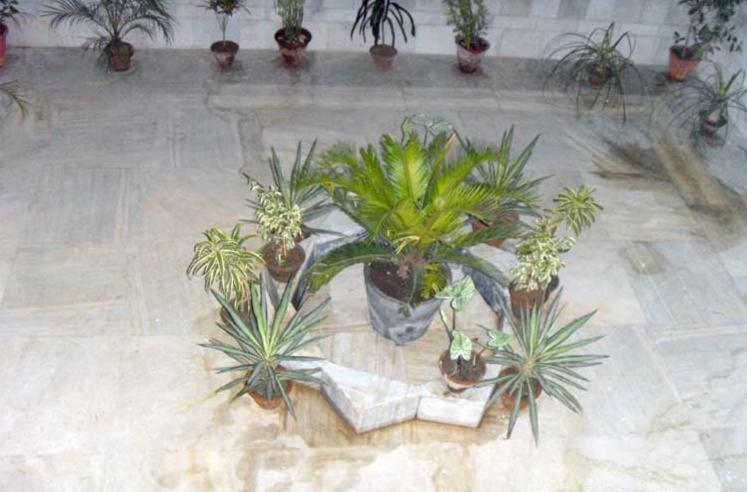 Hotel Raj Bed & Breakfast Agra  Dış mekan fotoğraf